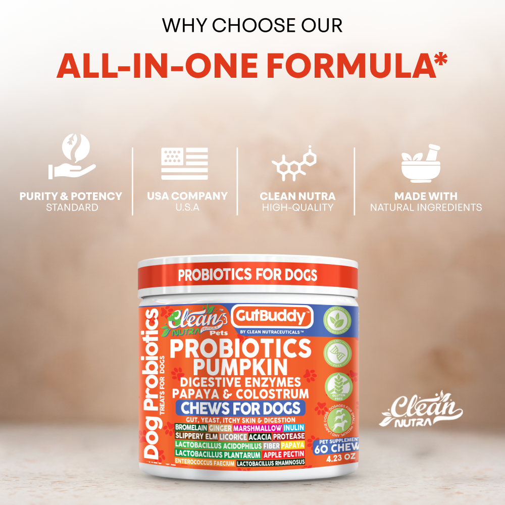 Gut Buddy Probiotic