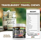 TravelBuddy