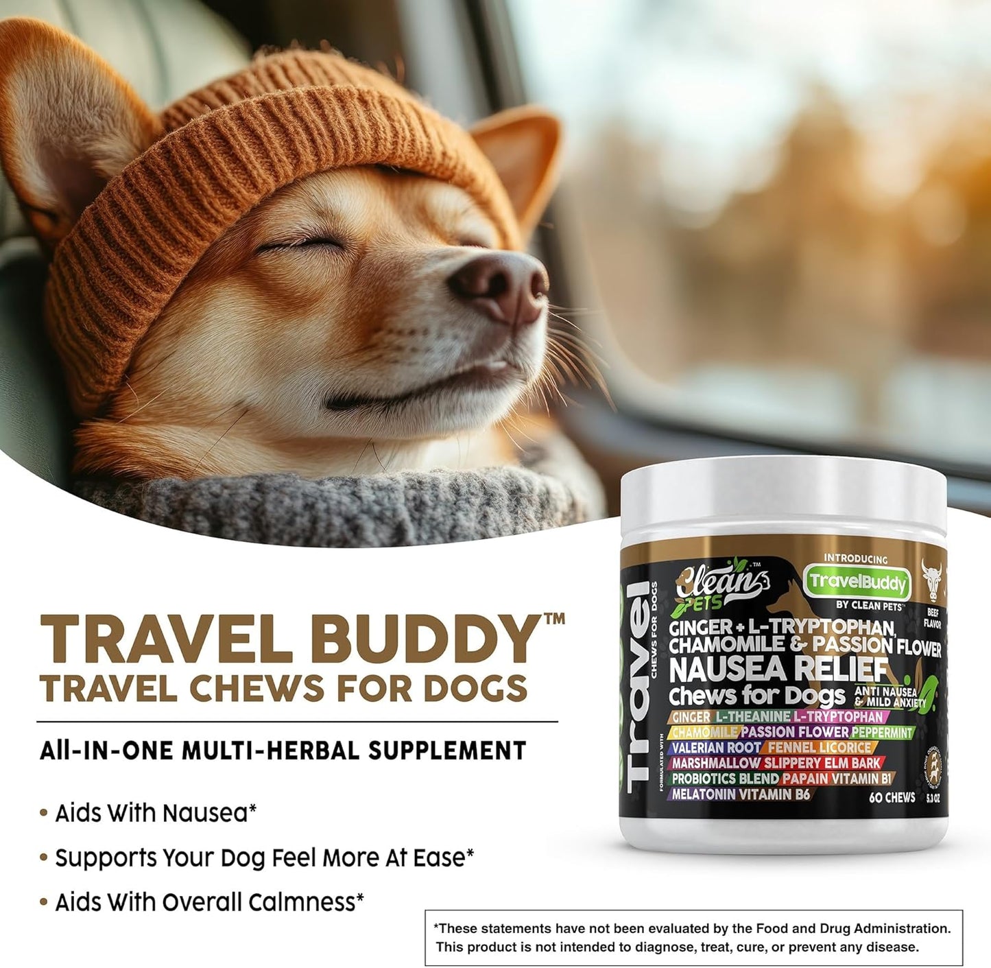 TravelBuddy