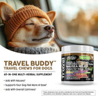 TravelBuddy
