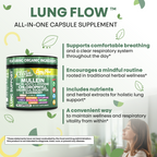 Lung Flow