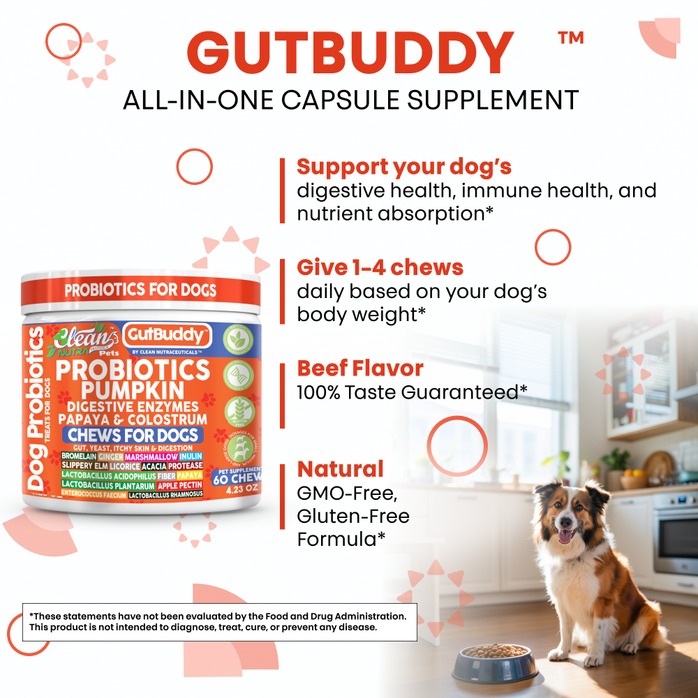Gut Buddy Probiotic