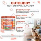 Gut Buddy Probiotic