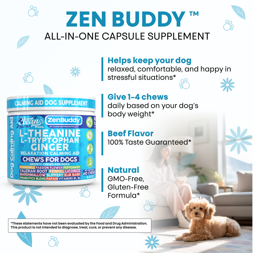 Zen Buddy
