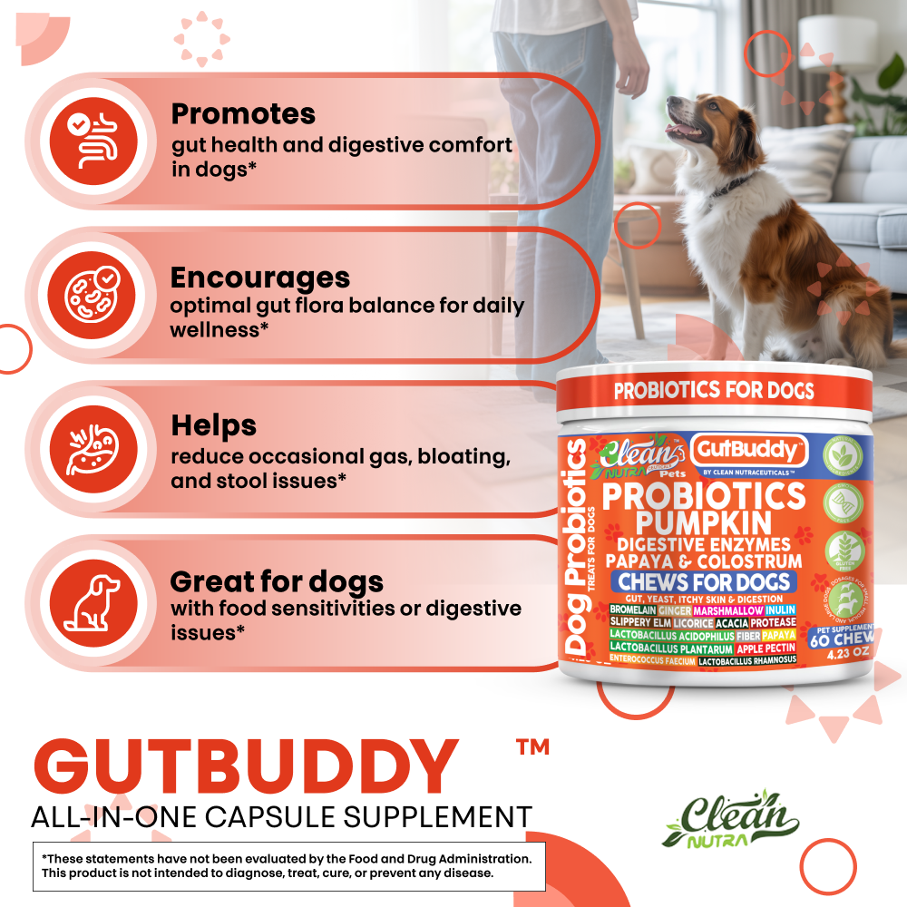 Gut Buddy Probiotic