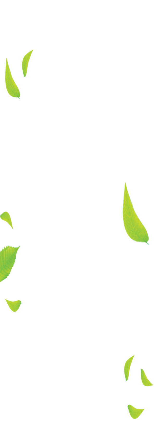 customer favorites background