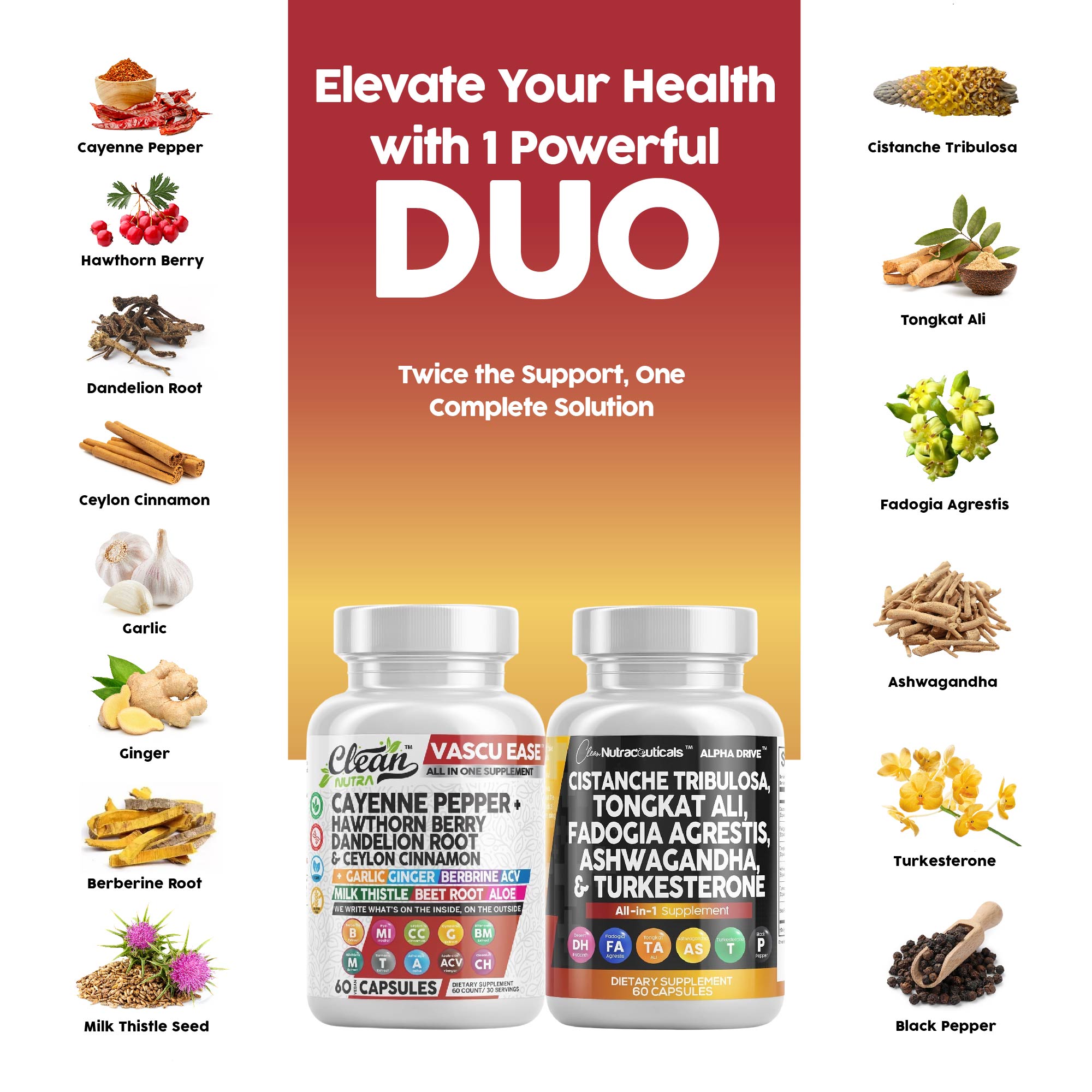 Heart & Performance Duo