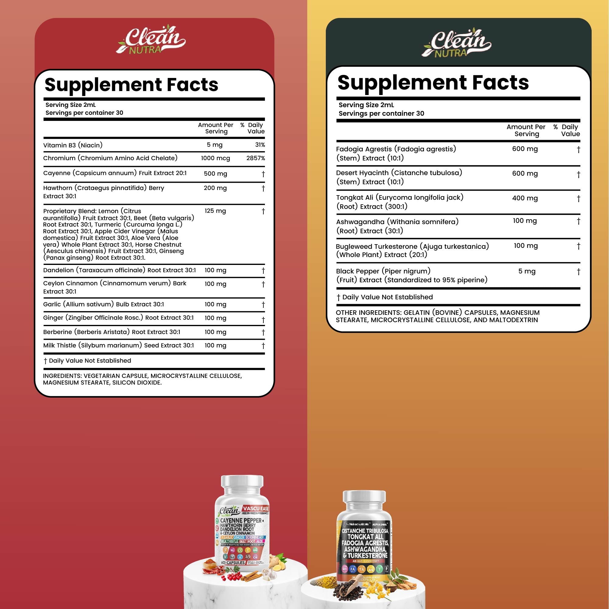 Heart & Performance Duo