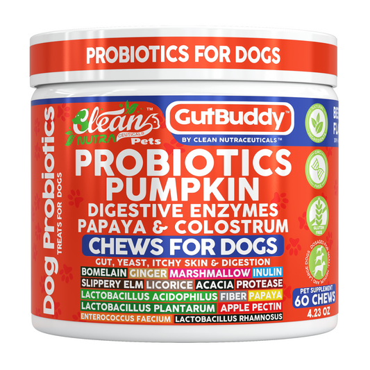 Gut Buddy Probiotic