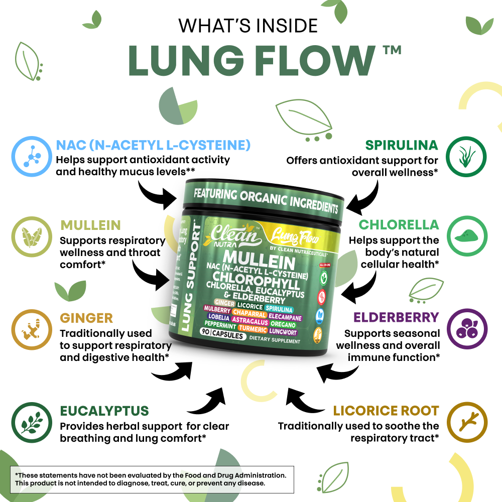 Lung Flow