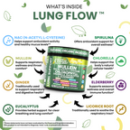 Lung Flow