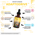 AdaptoDrive