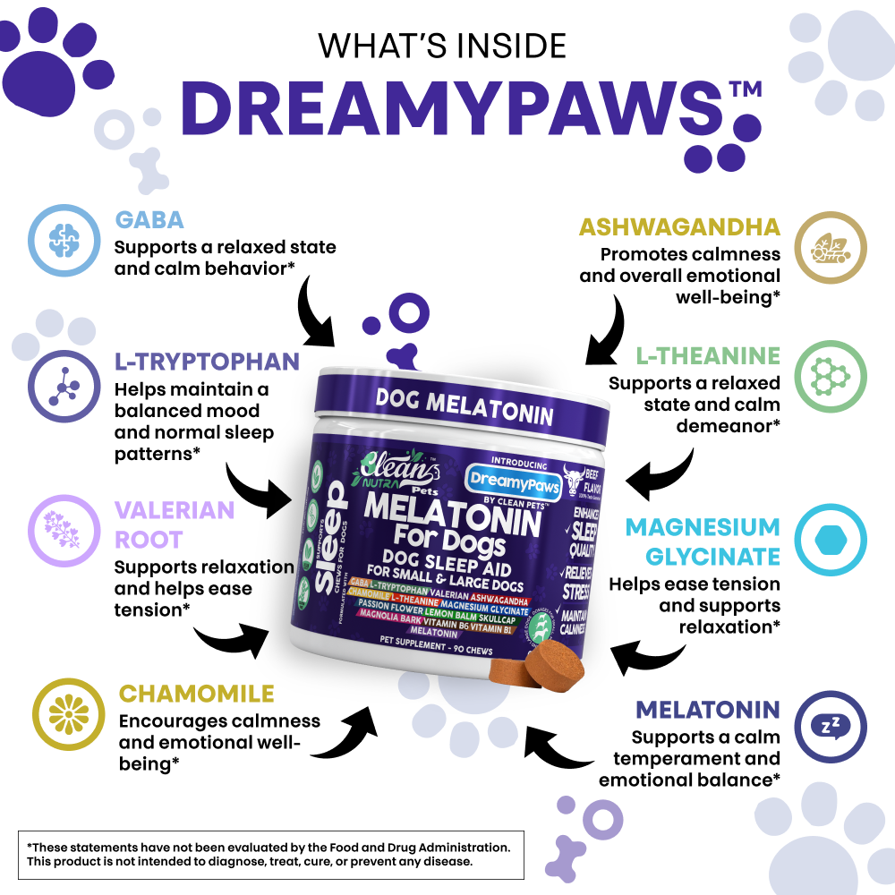DreamyPaws
