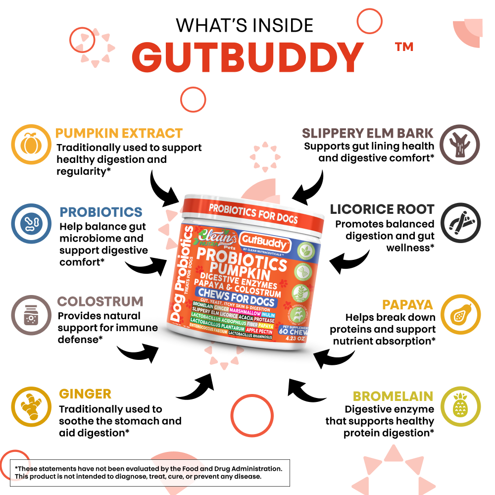 Gut Buddy Probiotic