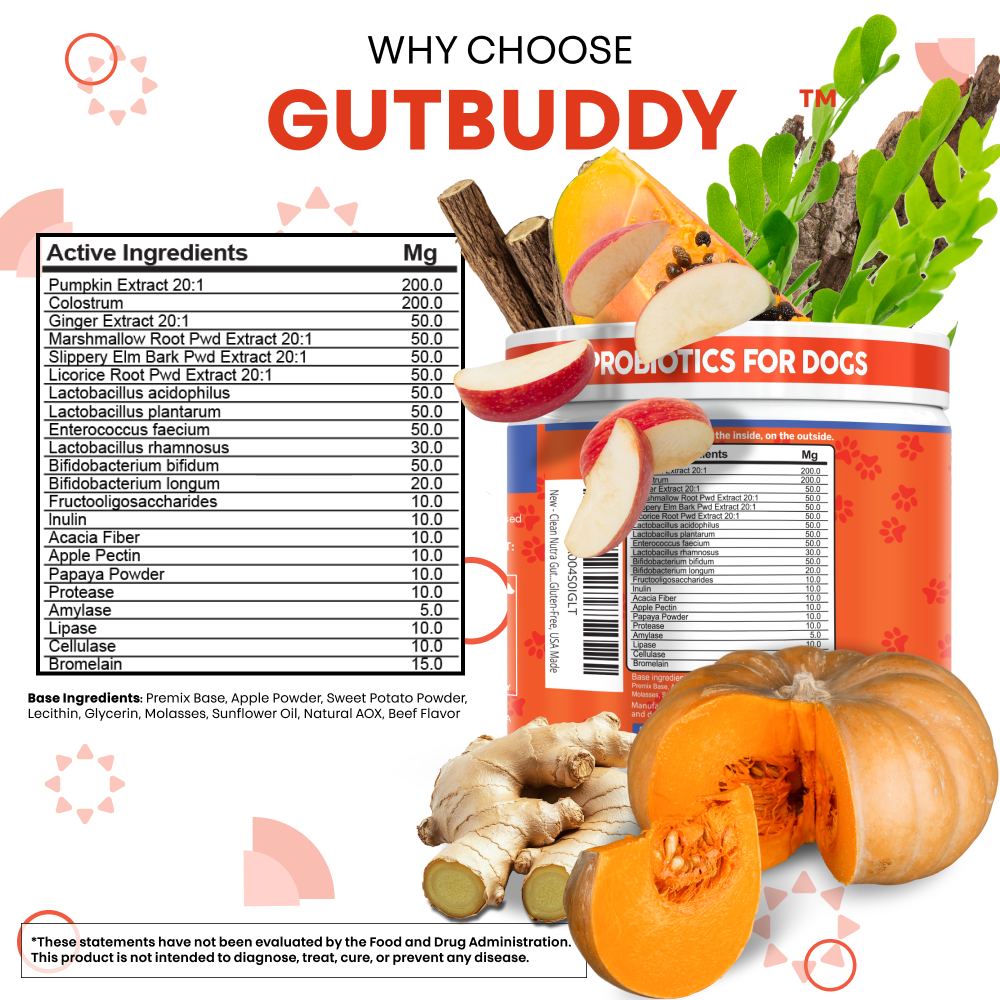 Gut Buddy Probiotic