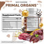 Primal Organs